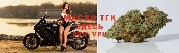 молекула духа Елабуга