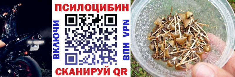 Псилоцибиновые грибы ЛСД  наркошоп  гидра вход  Горняк 